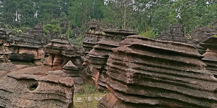 Foresta della pietra rossa