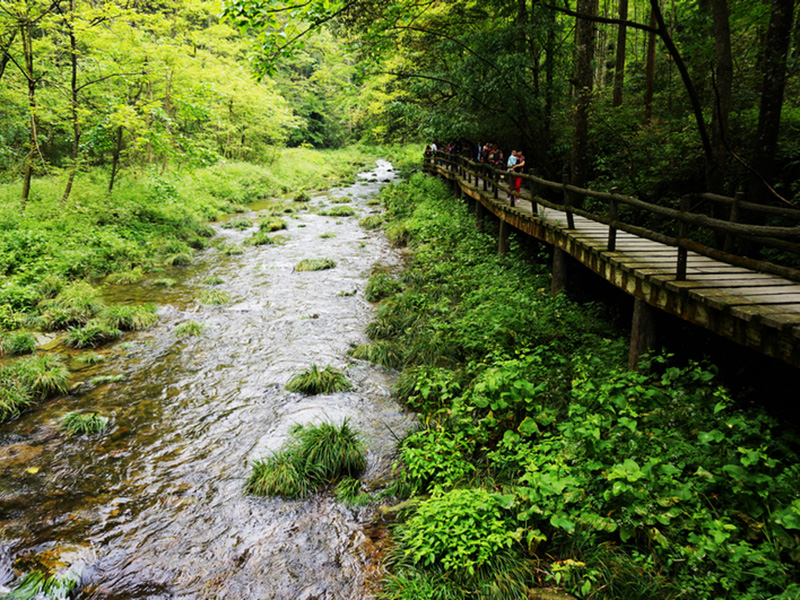 zhangjiajie