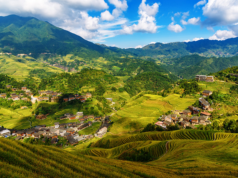 Risaie a terrazze longji