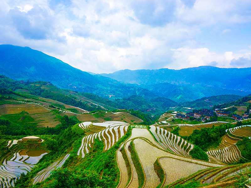 Risaie a terrazze longji