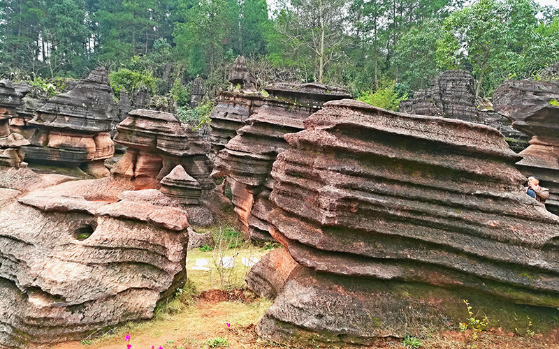 Foresta della pietra rossa