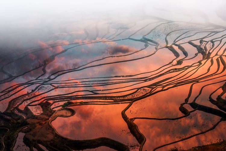 Le risaie a terrazze di Yuanyang all'alba